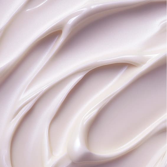 Pink Haven Lash Club at Pink Haven Aesthetics in Carson City, NV